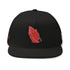 Flat Bill Cap, flat billed hats, flat caps